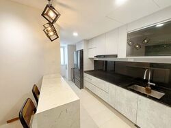 8 @ Mount Sophia (D9), Condominium #452930691